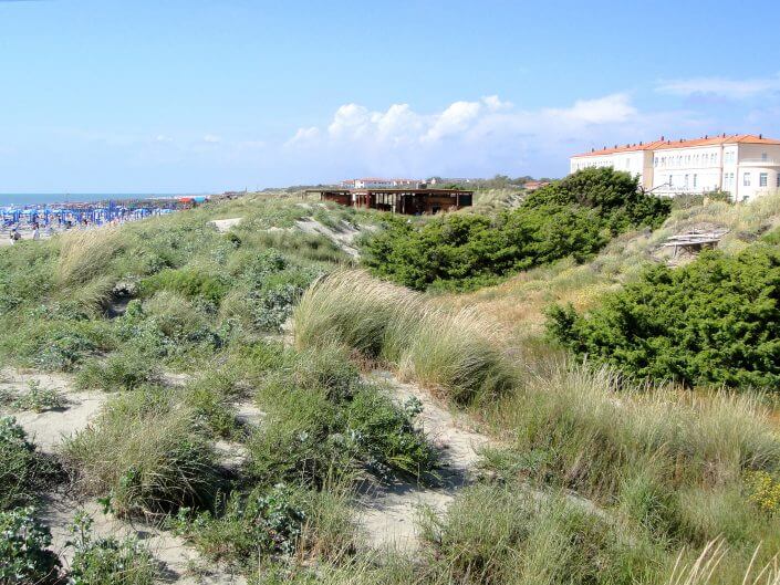 Dünenresidenz Regina Elena direkte Strandlage